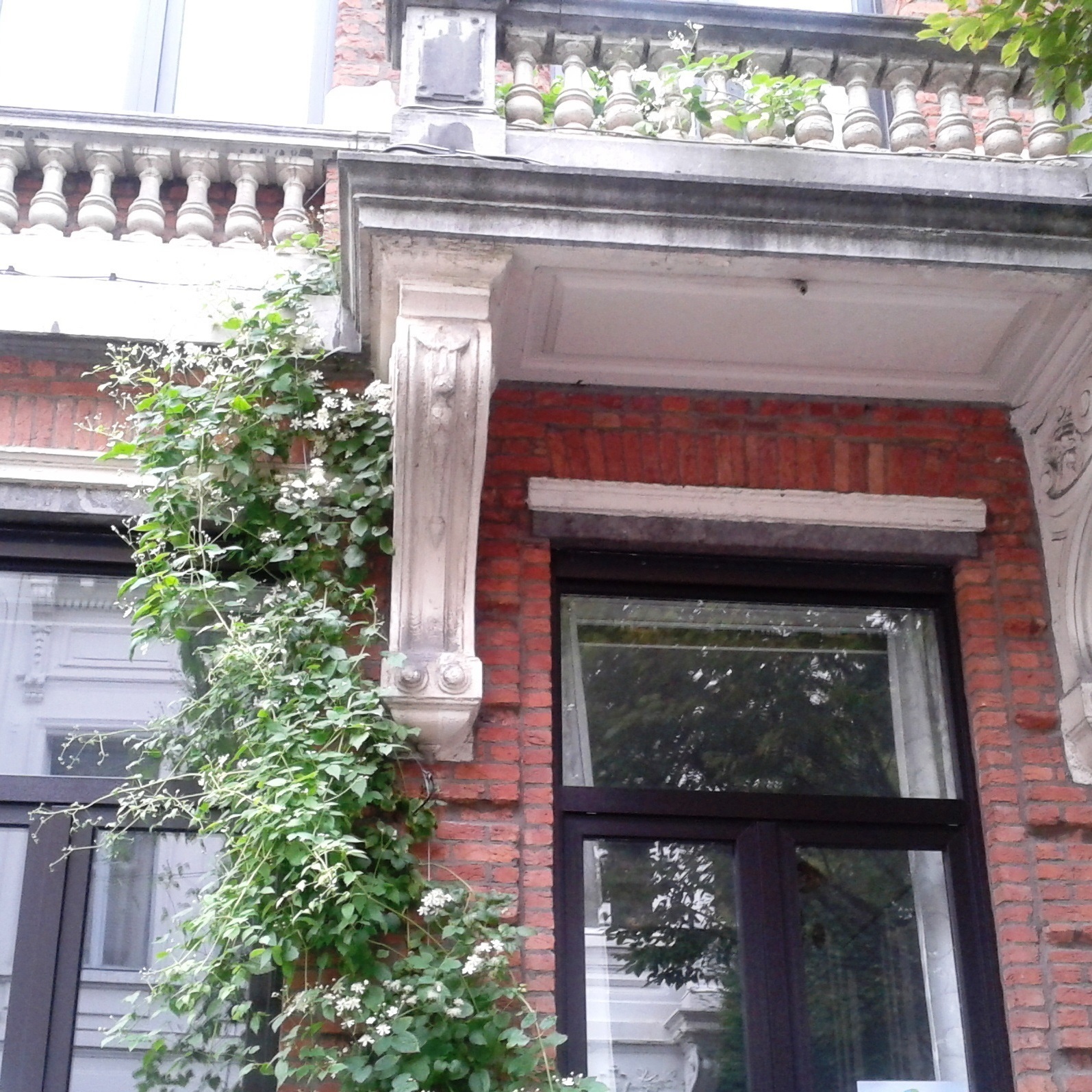 Wilde Bosrank Wilde Bosrank